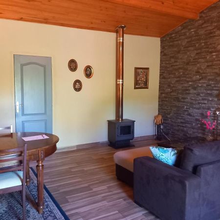 O Ninho Do Rei Apartment Vila de Rei Bagian luar foto