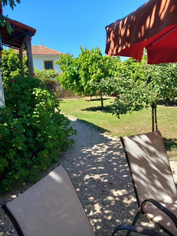 O Ninho Do Rei Apartment Vila de Rei Bagian luar foto