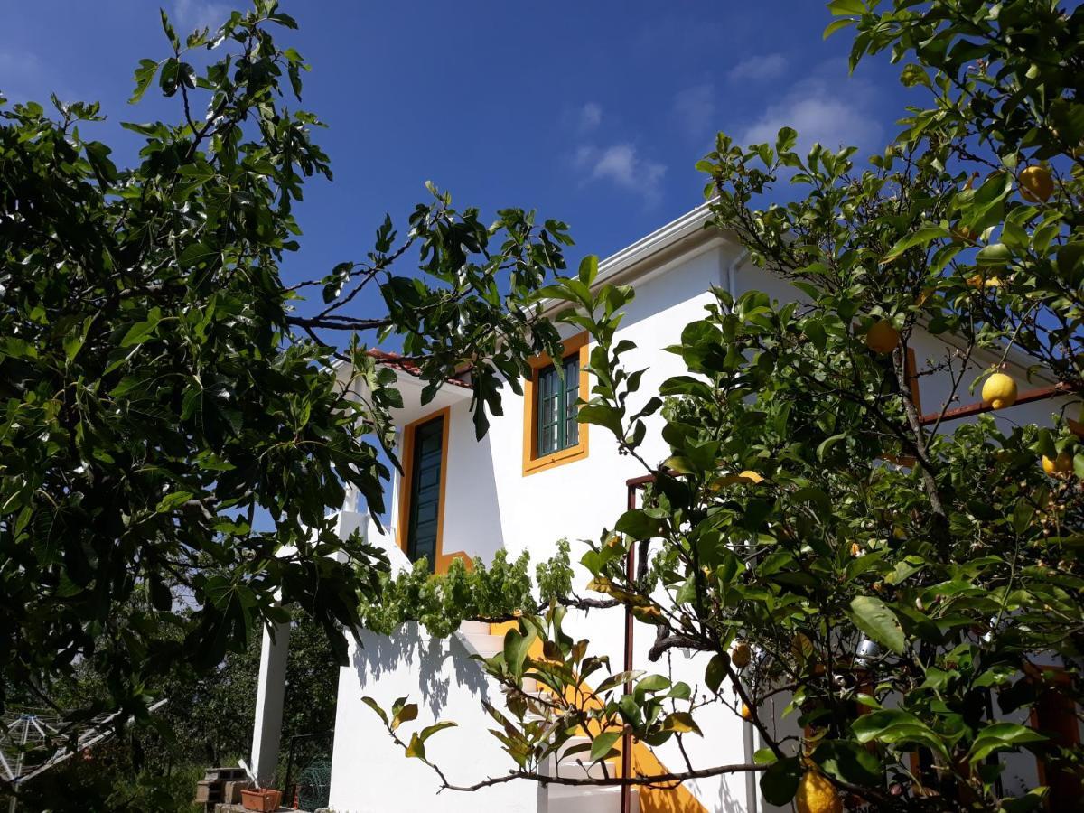 O Ninho Do Rei Apartment Vila de Rei Bagian luar foto